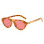 lunettes de soleil vintage petites rondes œil-de-chat pour femmes, nouvelle mode à rivets, sexy, noires léopard, lunettes de soleil tendance pour dames, lunettes d’extérieur modernes